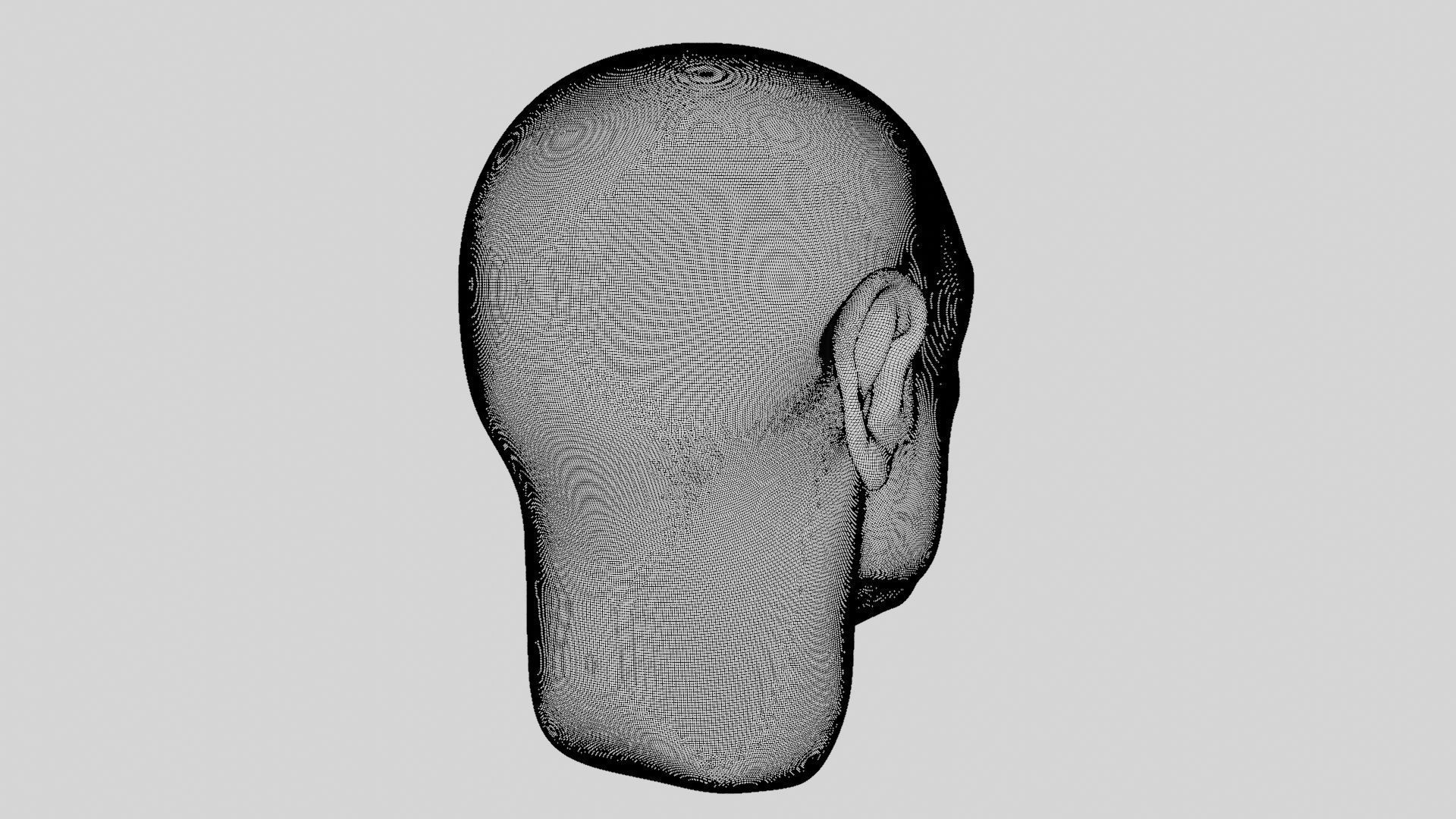 Face sculpt Low-poly 3D model_43