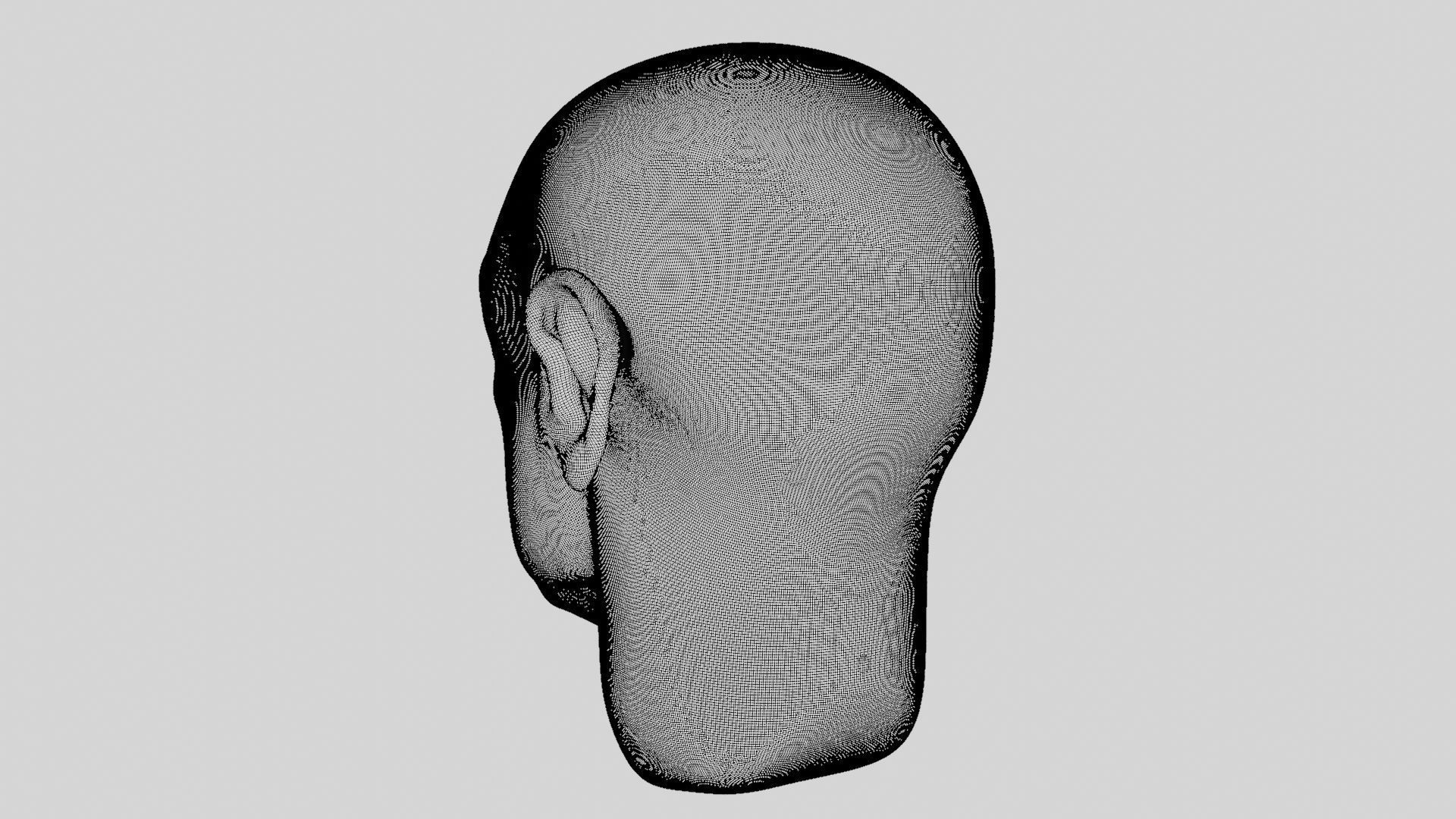 Face sculpt Low-poly 3D model_41