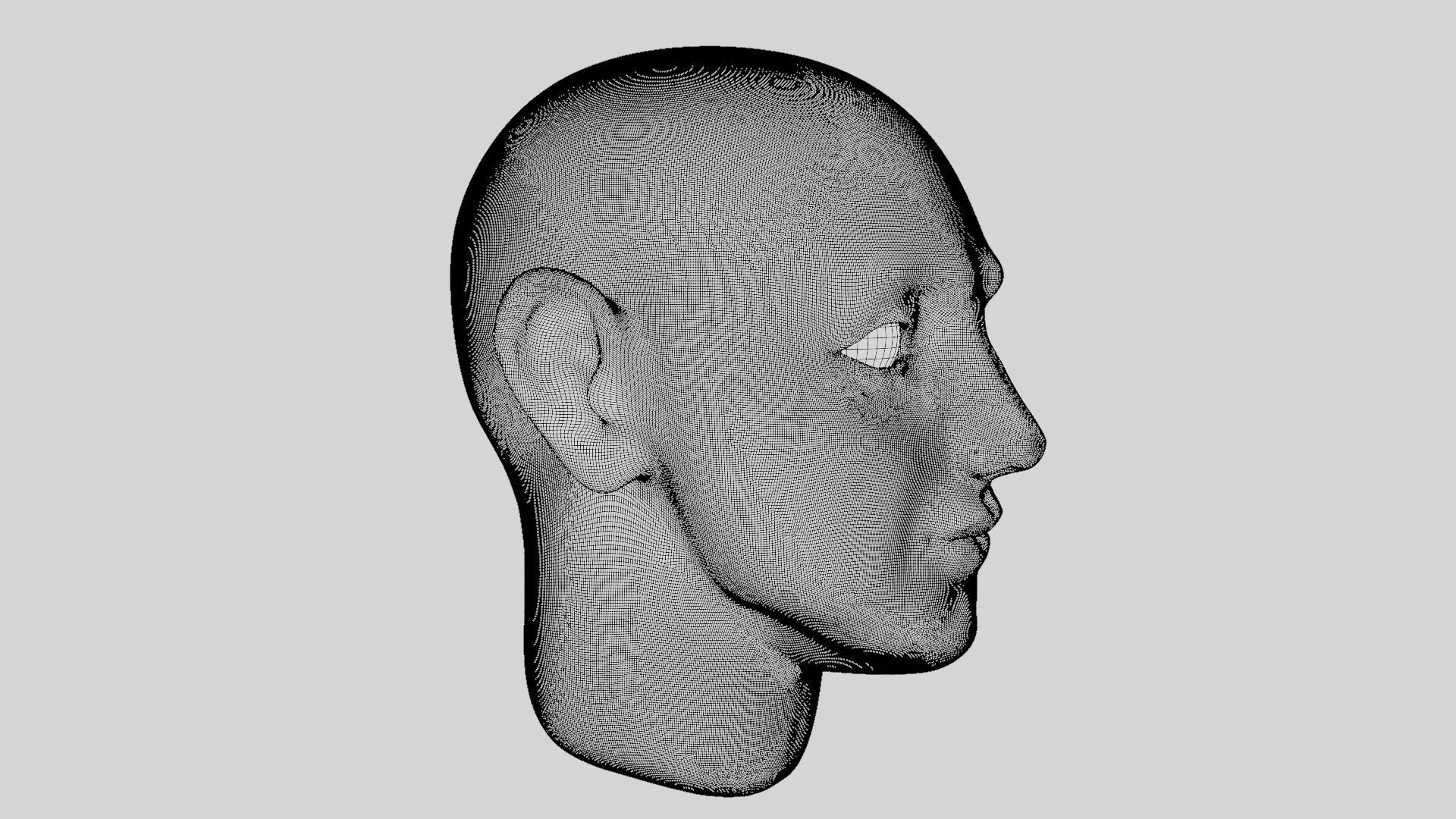 Face sculpt Low-poly 3D model_33