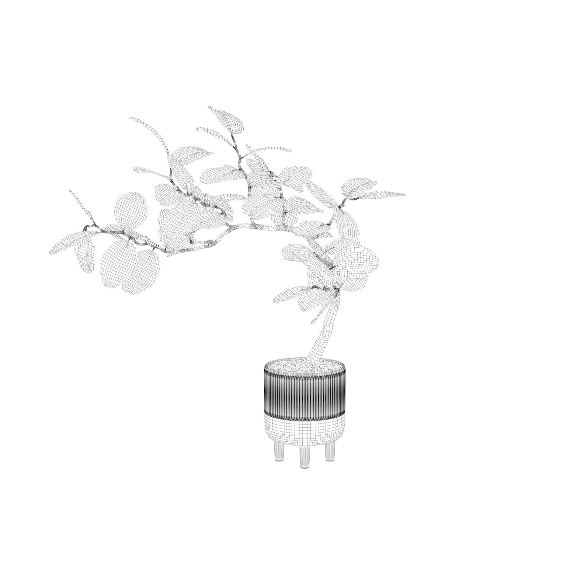 Ficus benghalensis 3D model_33