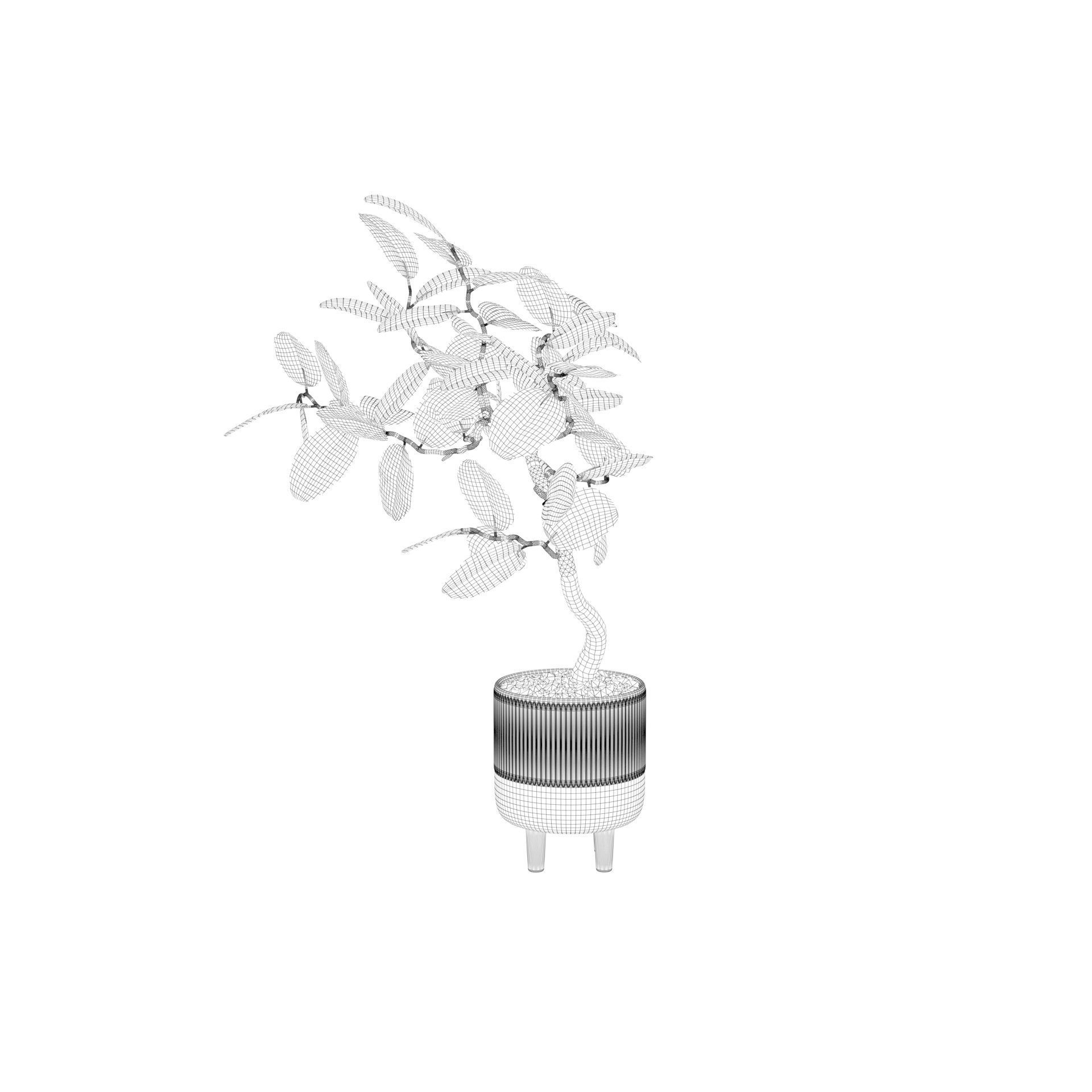 Ficus benghalensis 3D model_31