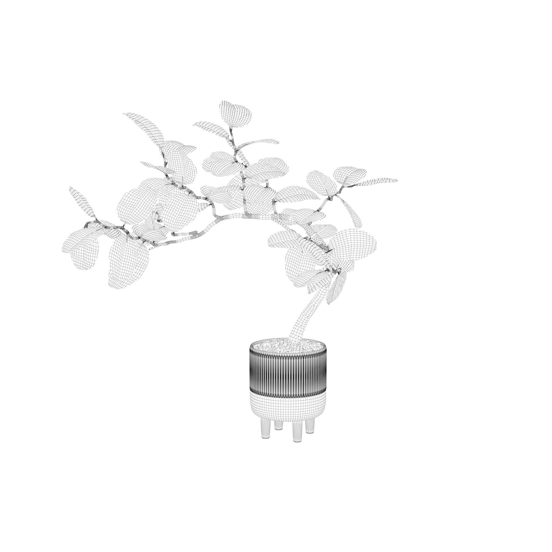 Ficus benghalensis 3D model_34
