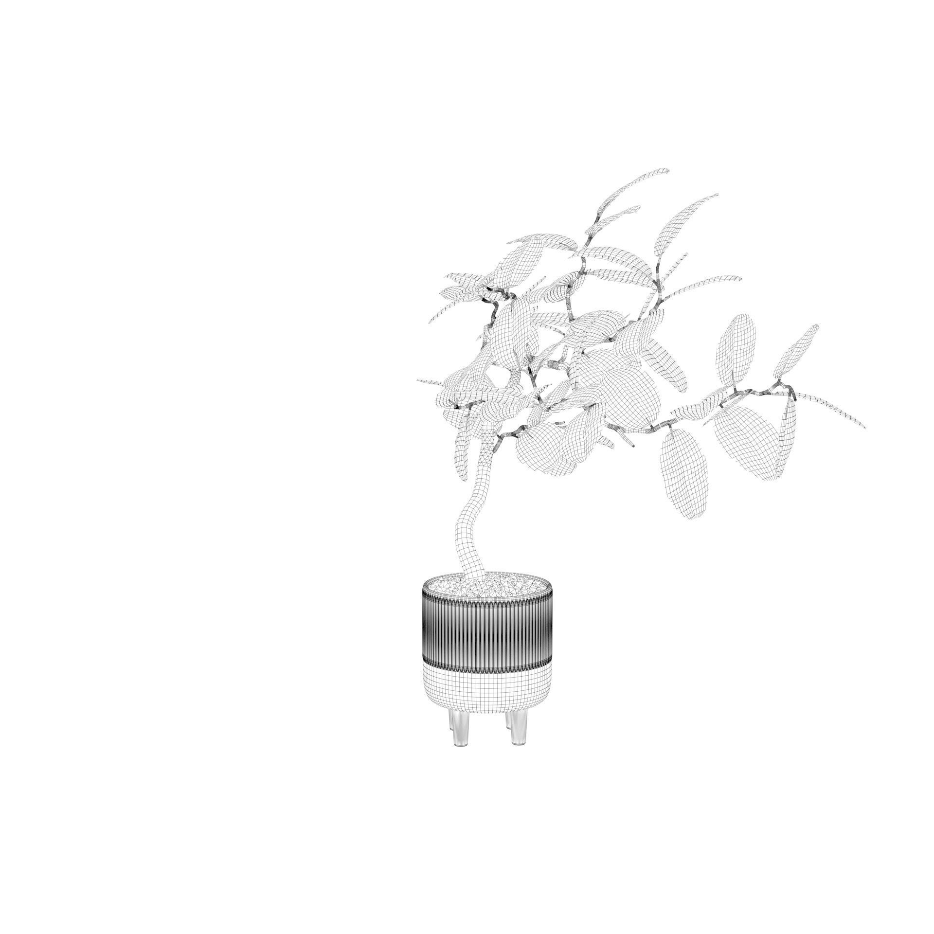 Ficus benghalensis 3D model_41