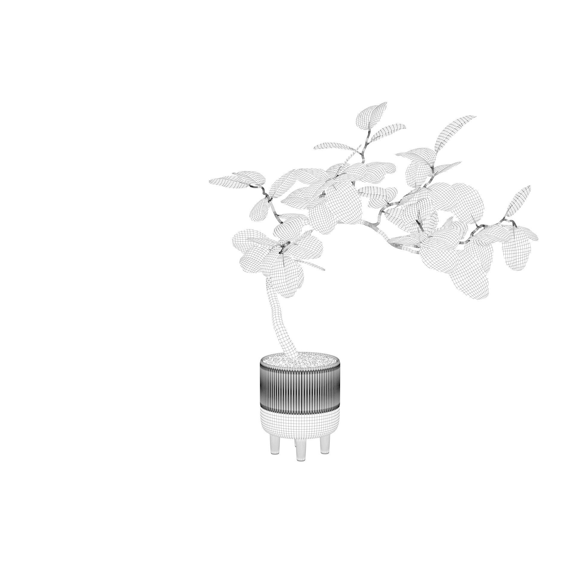 Ficus benghalensis 3D model_40