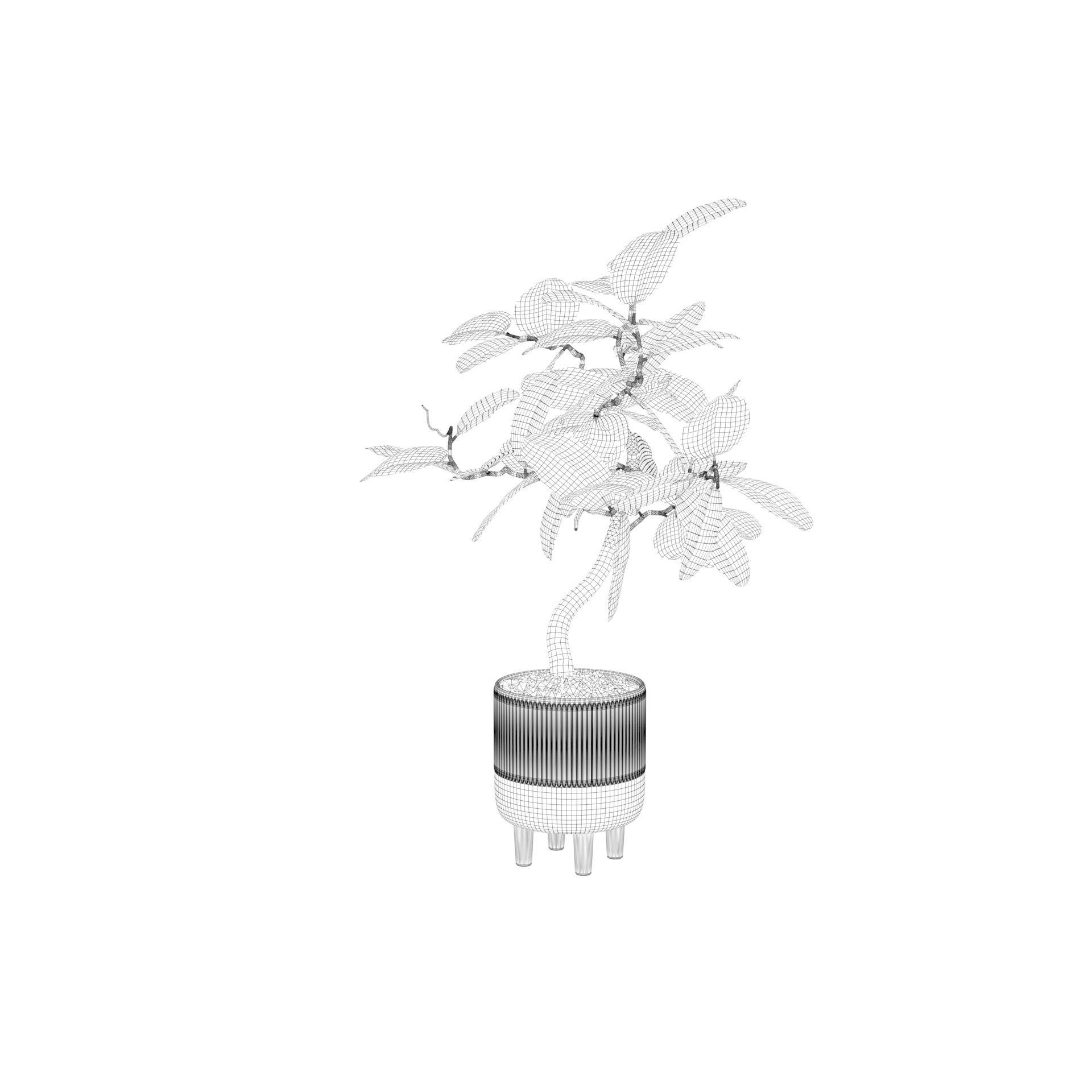 Ficus benghalensis 3D model_38