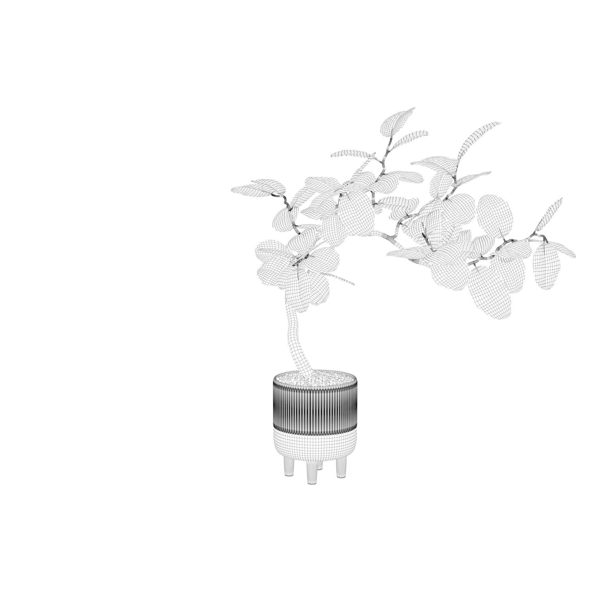Ficus benghalensis 3D model_44