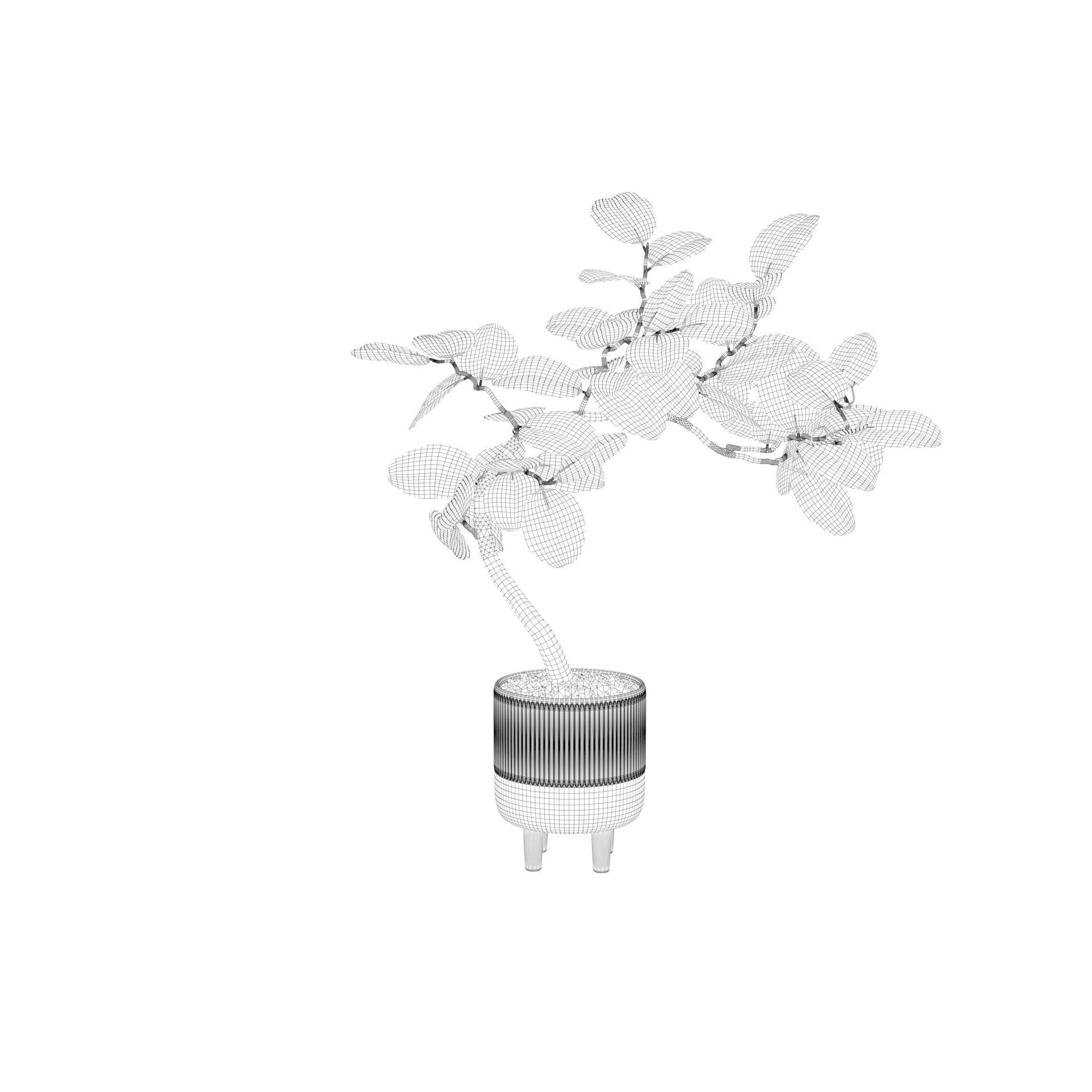 Ficus benghalensis 3D model_50