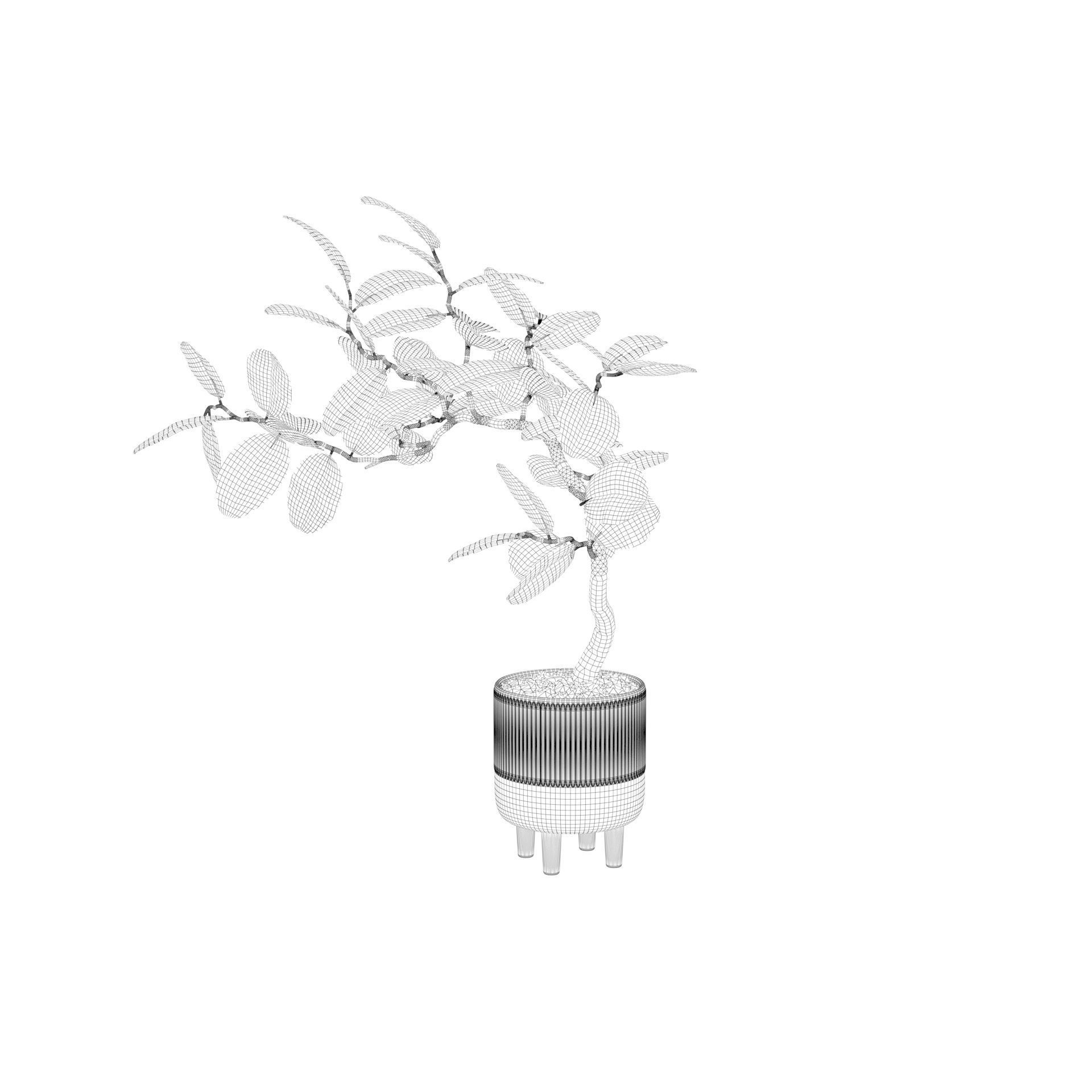 Ficus benghalensis 3D model_32