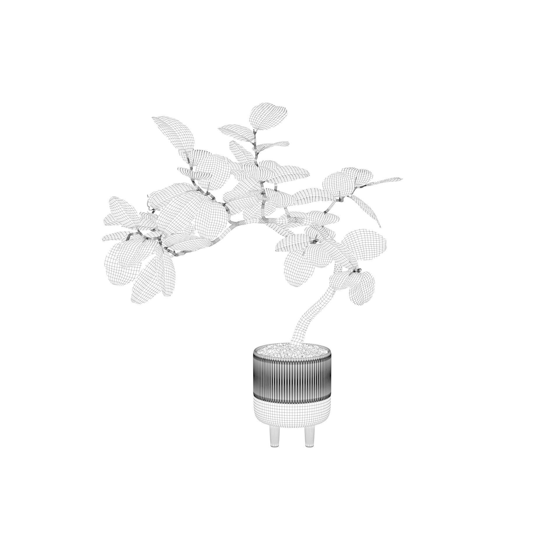 Ficus benghalensis 3D model_35