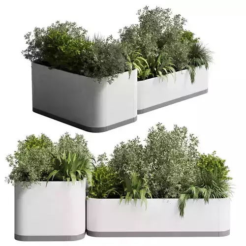stand plant box Indoor plant concrete vase pot fern grass 3D model