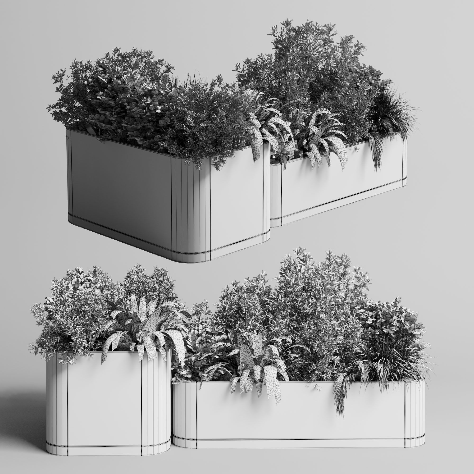 stand plant box Indoor plant concrete vase pot fern grass 3D model_3