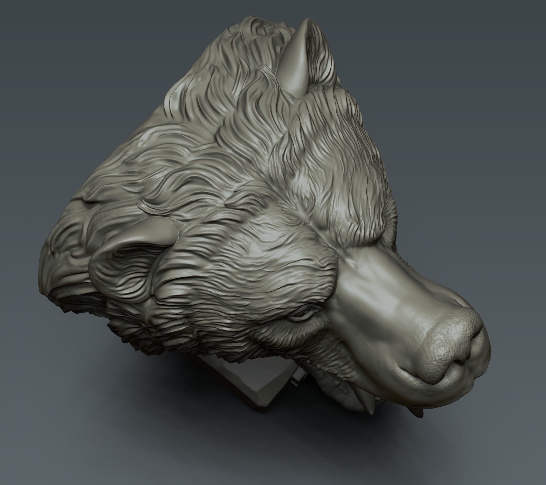 Bear Head 3D print model_3