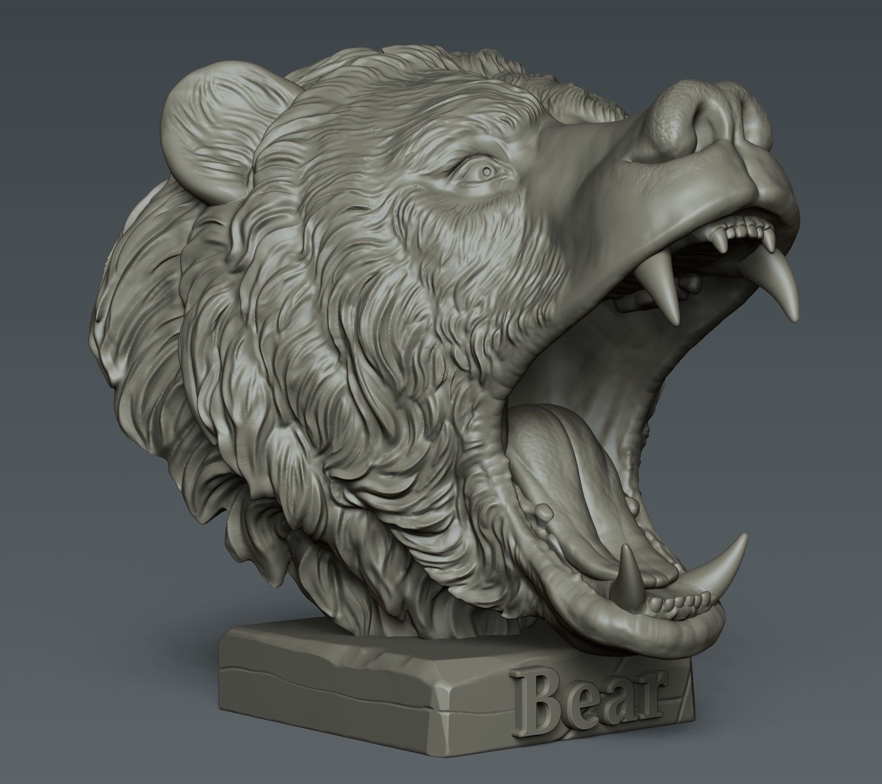 Bear Head 3D print model_1