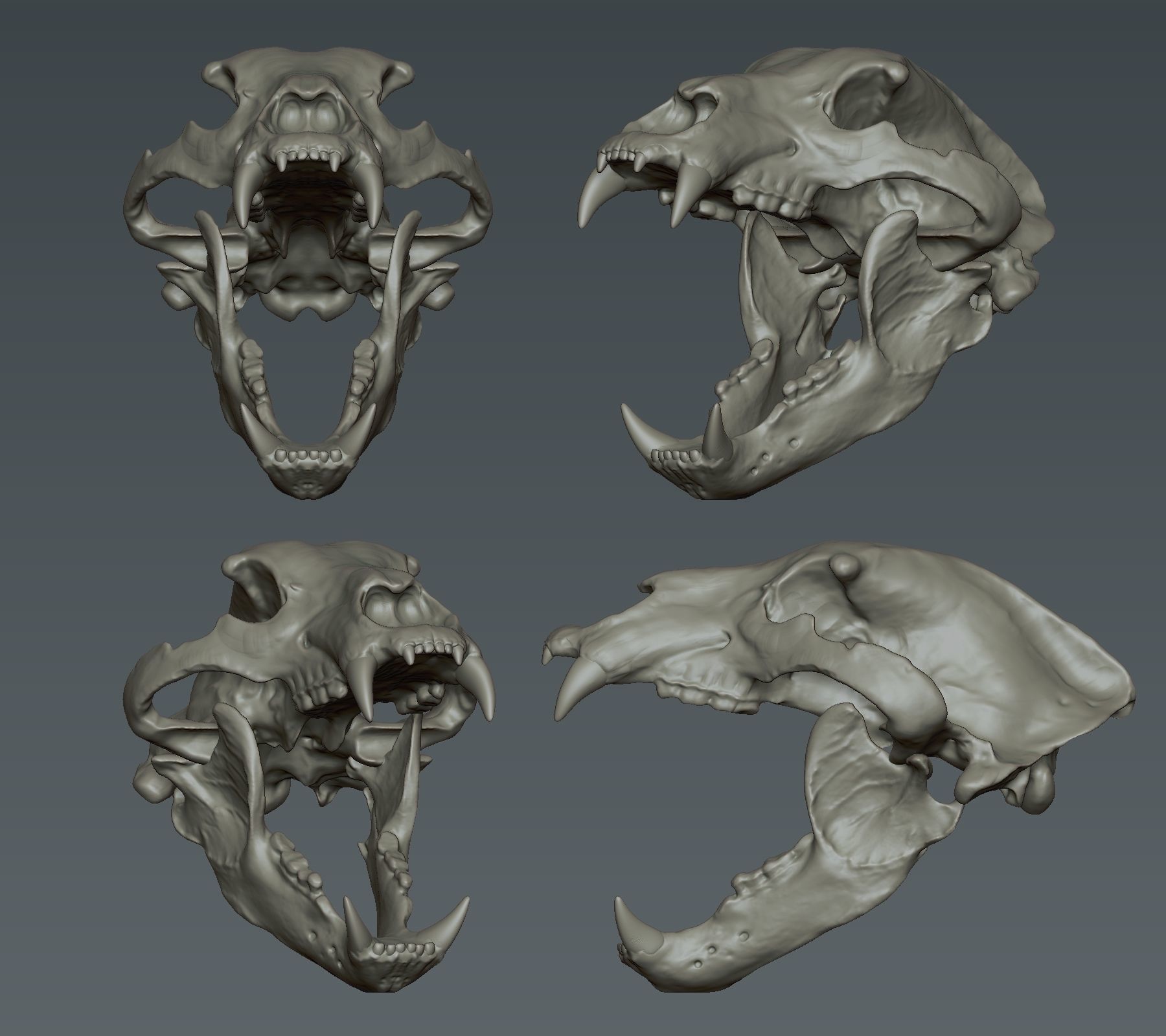 Bear Head 3D print model_6