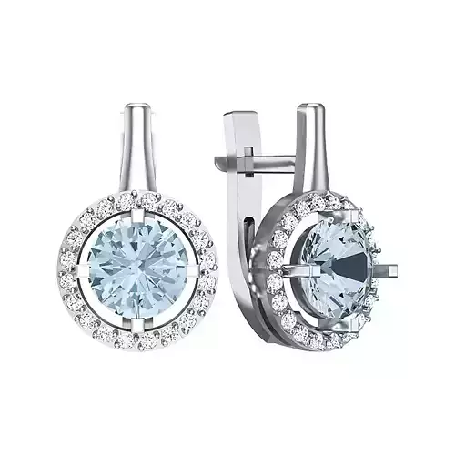 Earrings with a round stone in the center