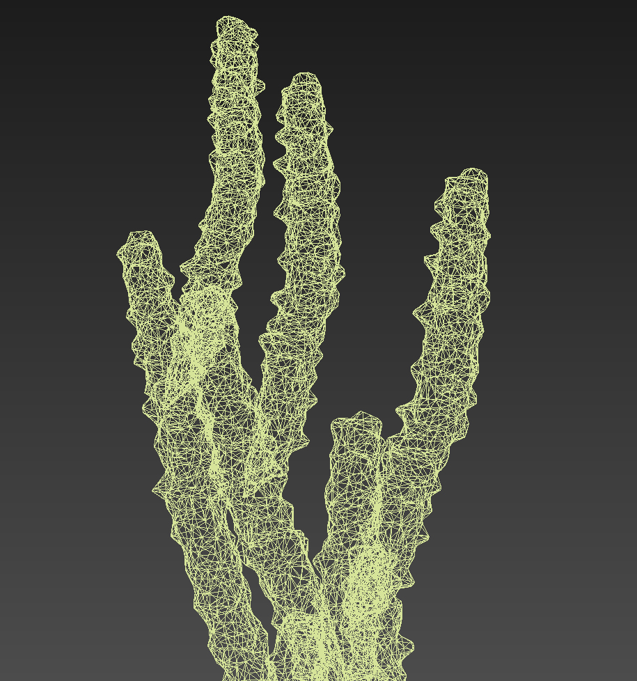 Totem Pole Cactus Lophocereus schottii var monstrosus 3D model_4