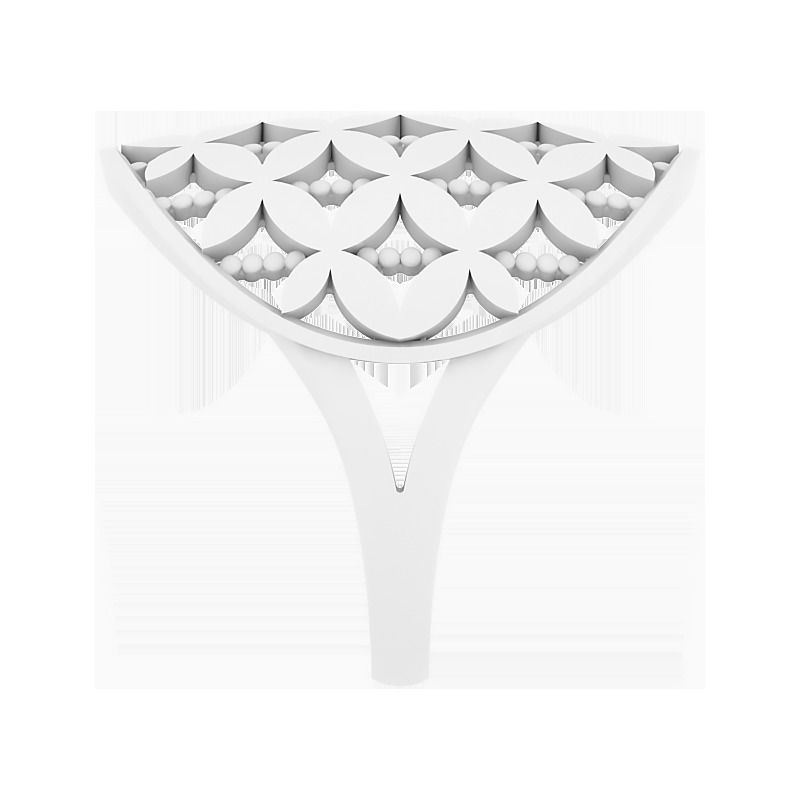 Ring round geometry 3D print model_3