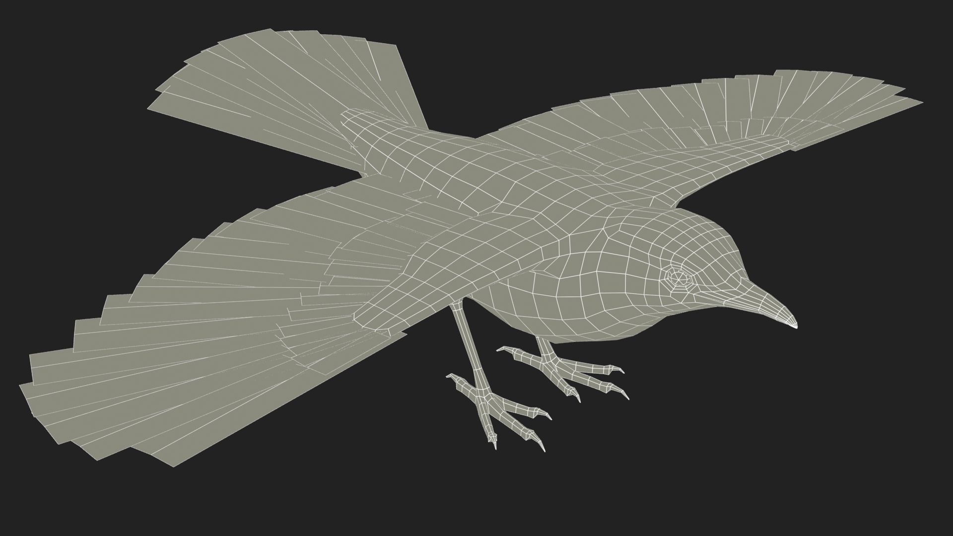 Blackbird bird Low-poly 3D model_11
