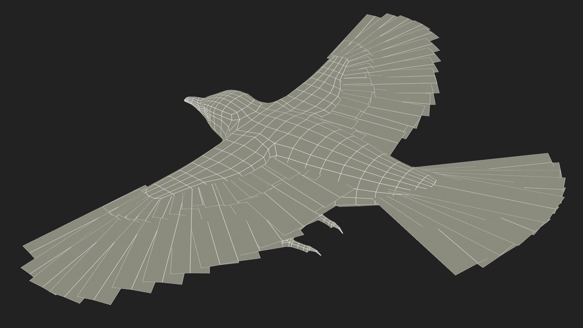 Blackbird bird Low-poly 3D model_12