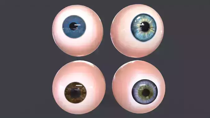 Human Eyeball Pack