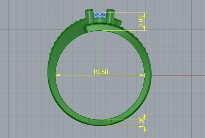 Ring Model 1264 3D print model_4