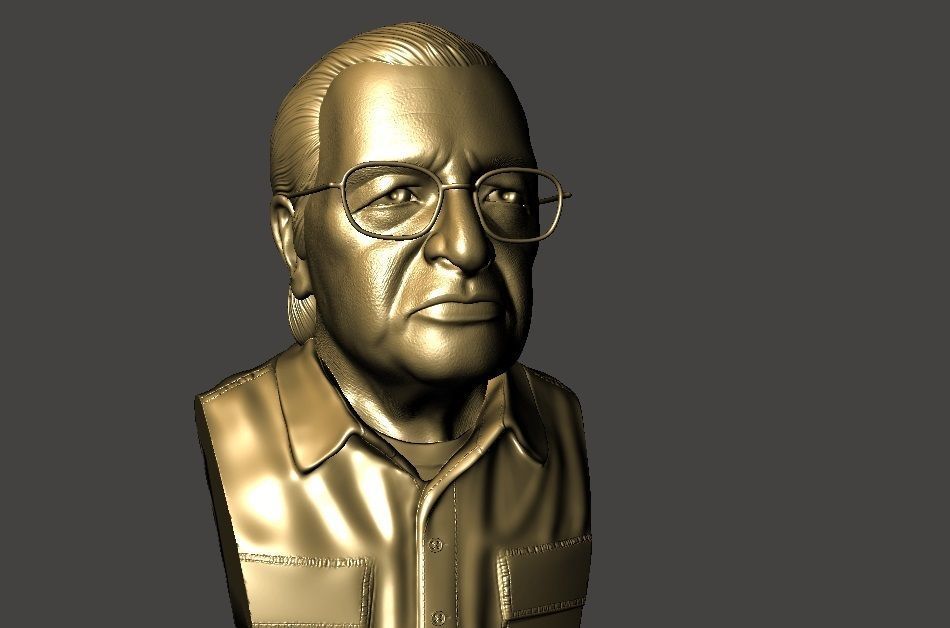 Olavo de Carvalho Escultura Busto 3d 3D print model_6