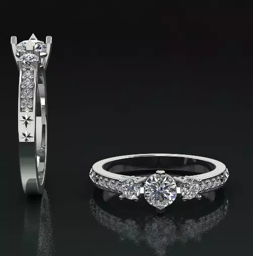 Ring Model 1300 3D print model_0