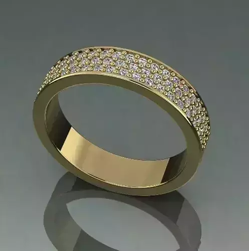 Ring Model 1321