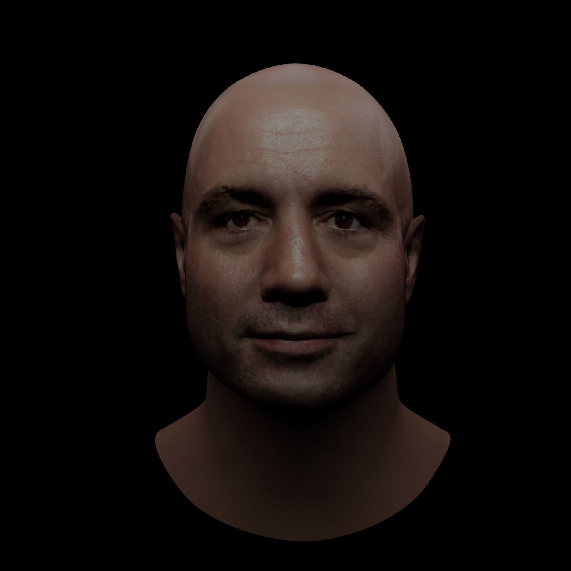 Joe Rogan Low-poly 3D model_2