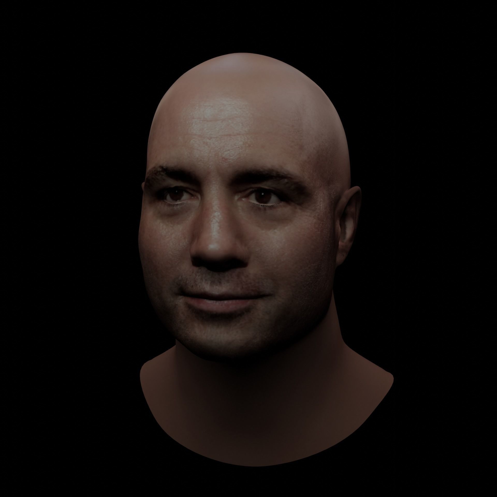 Joe Rogan Low-poly 3D model_9