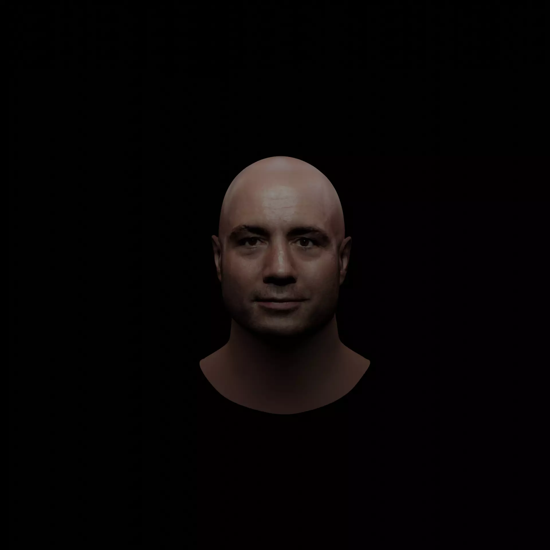 Joe Rogan Low-poly 3D model_0