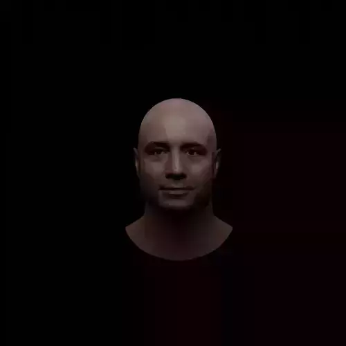 Joe Rogan Low-poly 3D model