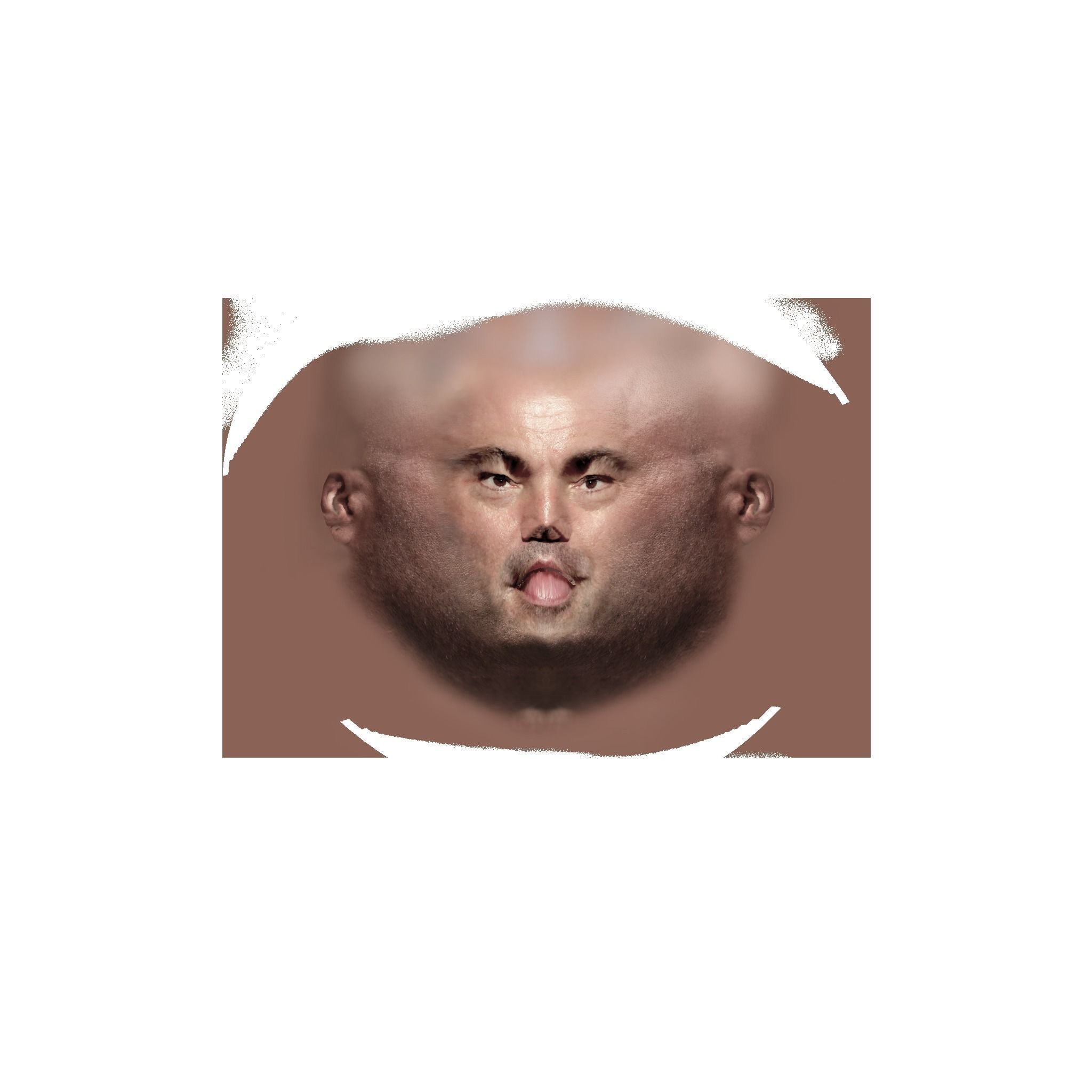 Joe Rogan Low-poly 3D model_16