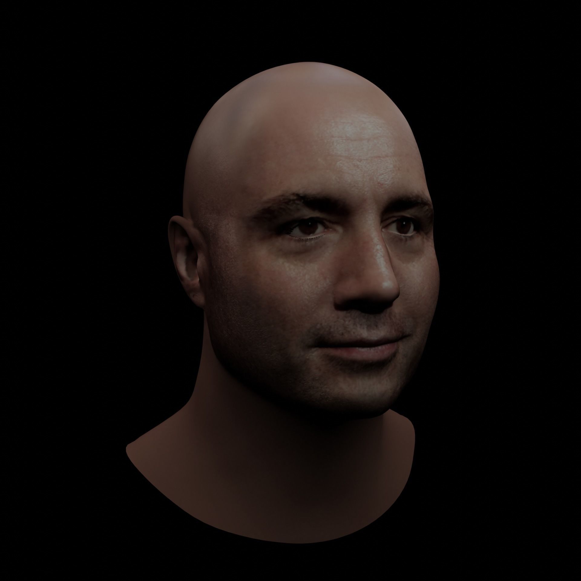 Joe Rogan Low-poly 3D model_4