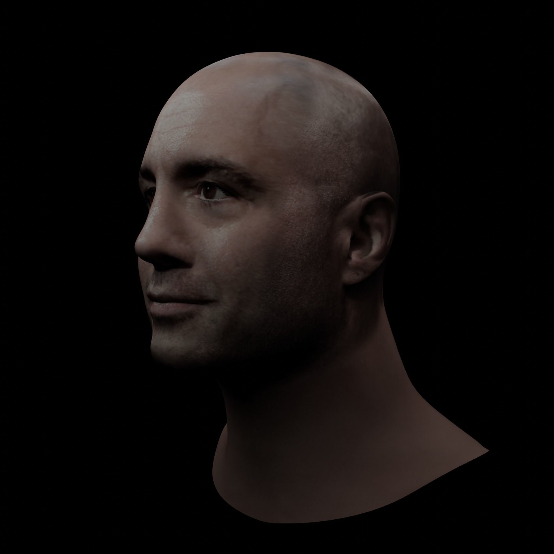 Joe Rogan Low-poly 3D model_6