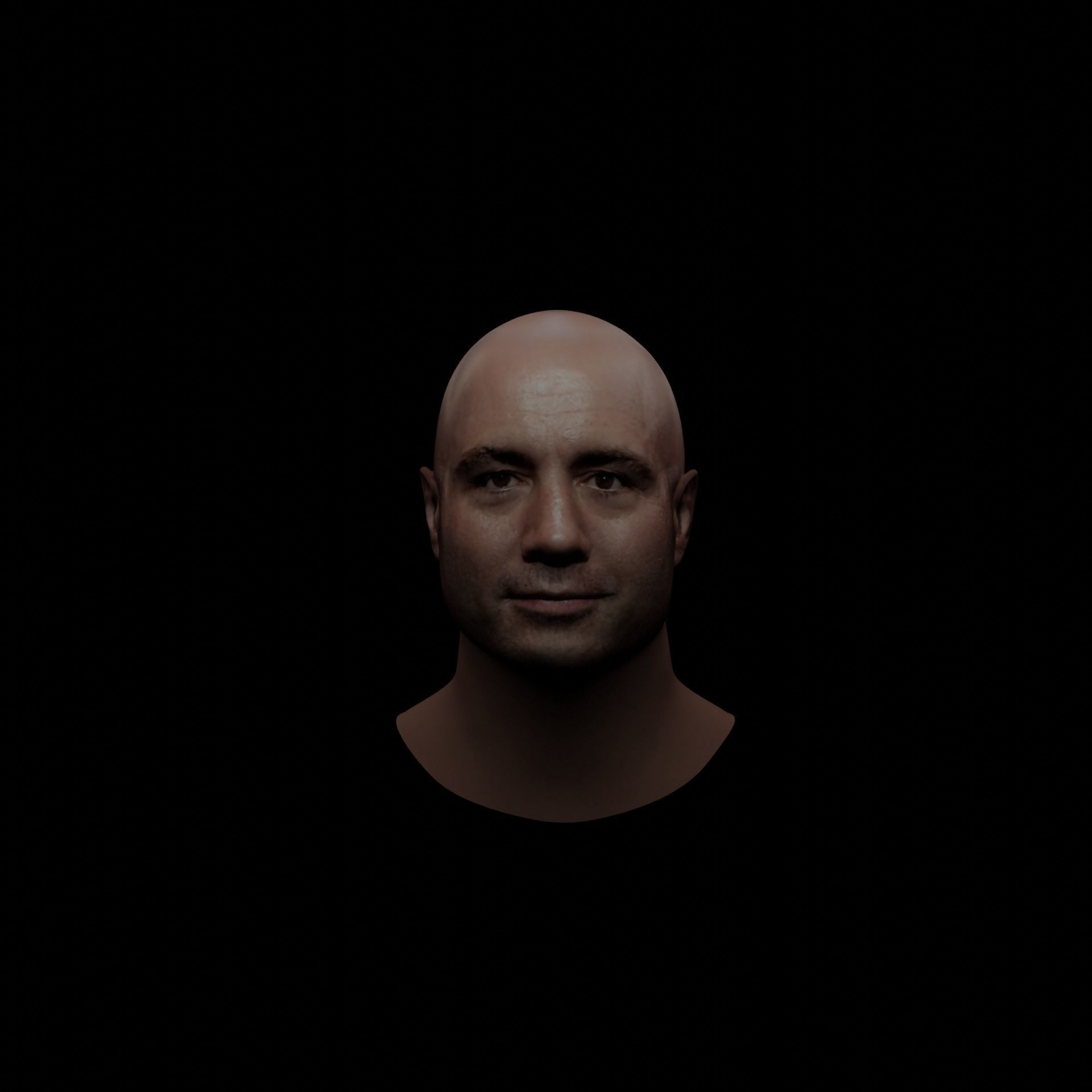 Joe Rogan Low-poly 3D model_1