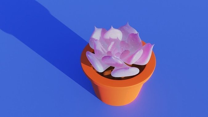 Succulent cactus in pot 3D model