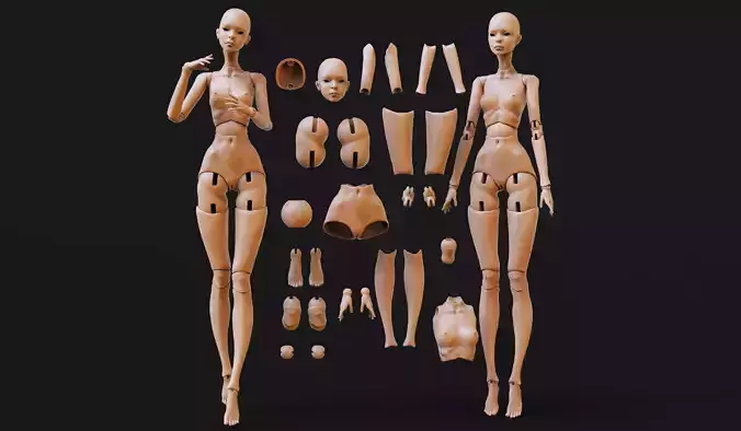 3D doll jointed doll  bjd doll  ooak digital doll   Printing 3D print model