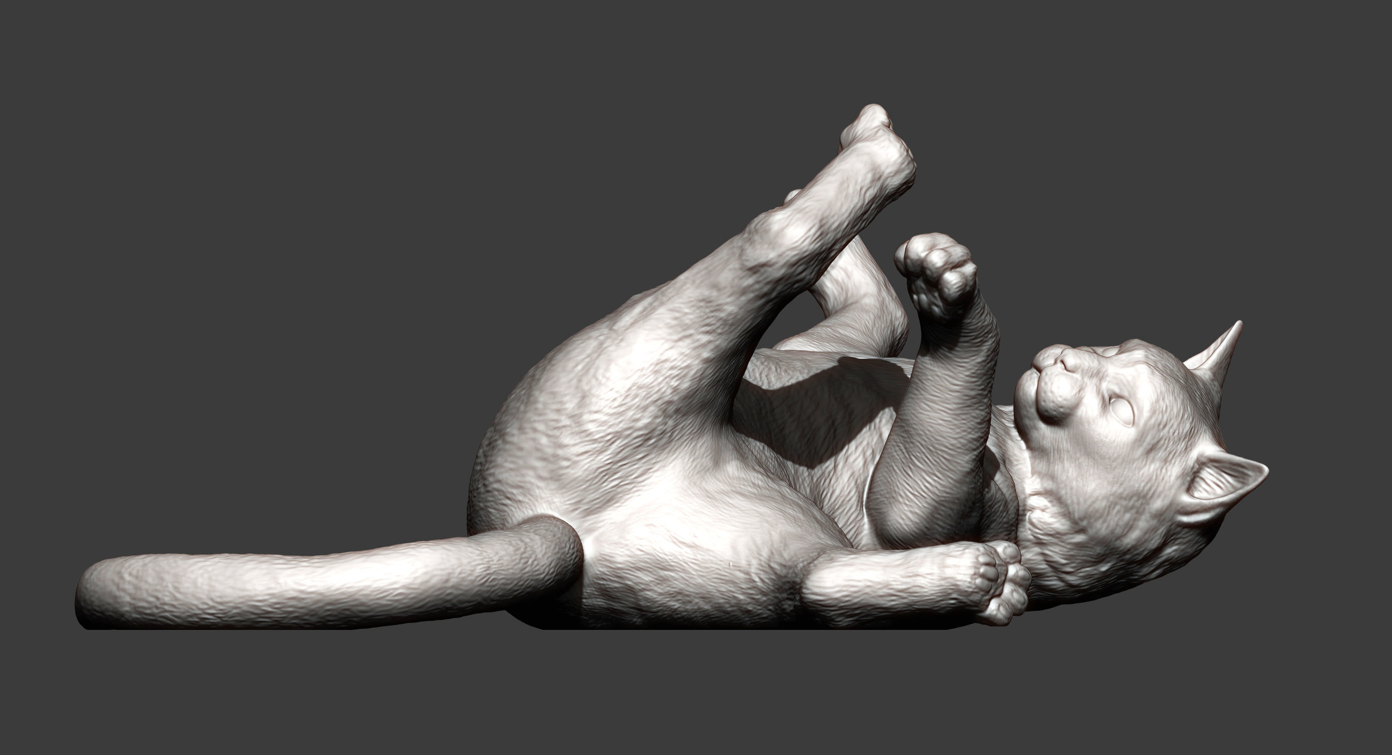 Cat for 3D printing  3D print model_7