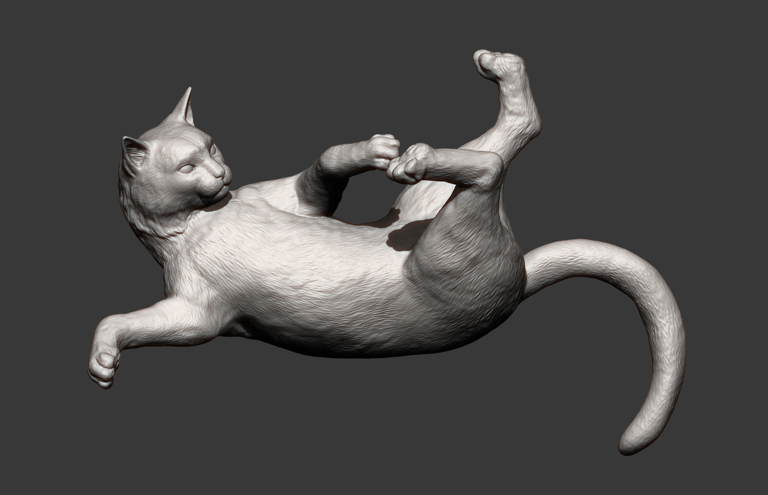 Cat for 3D printing  3D print model_5