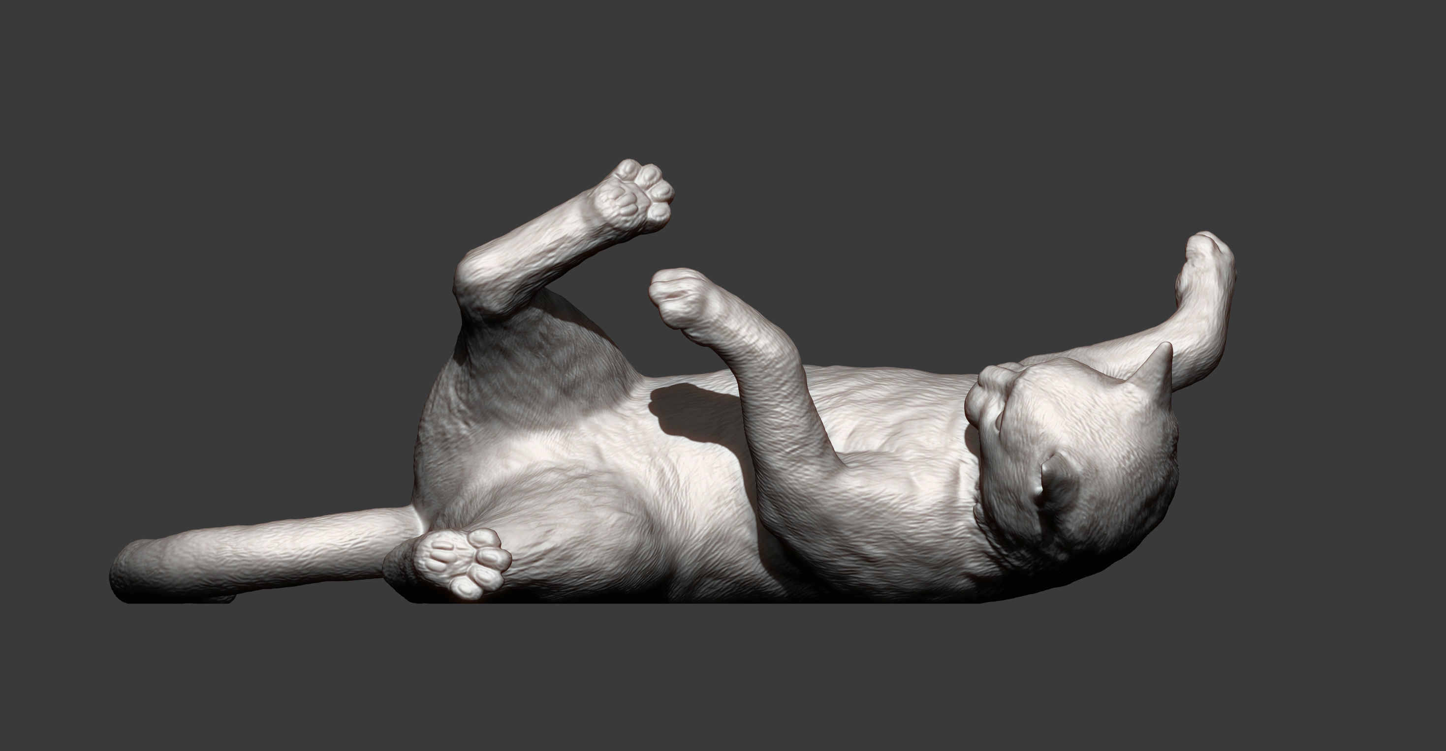 Cat for 3D printing  3D print model_4