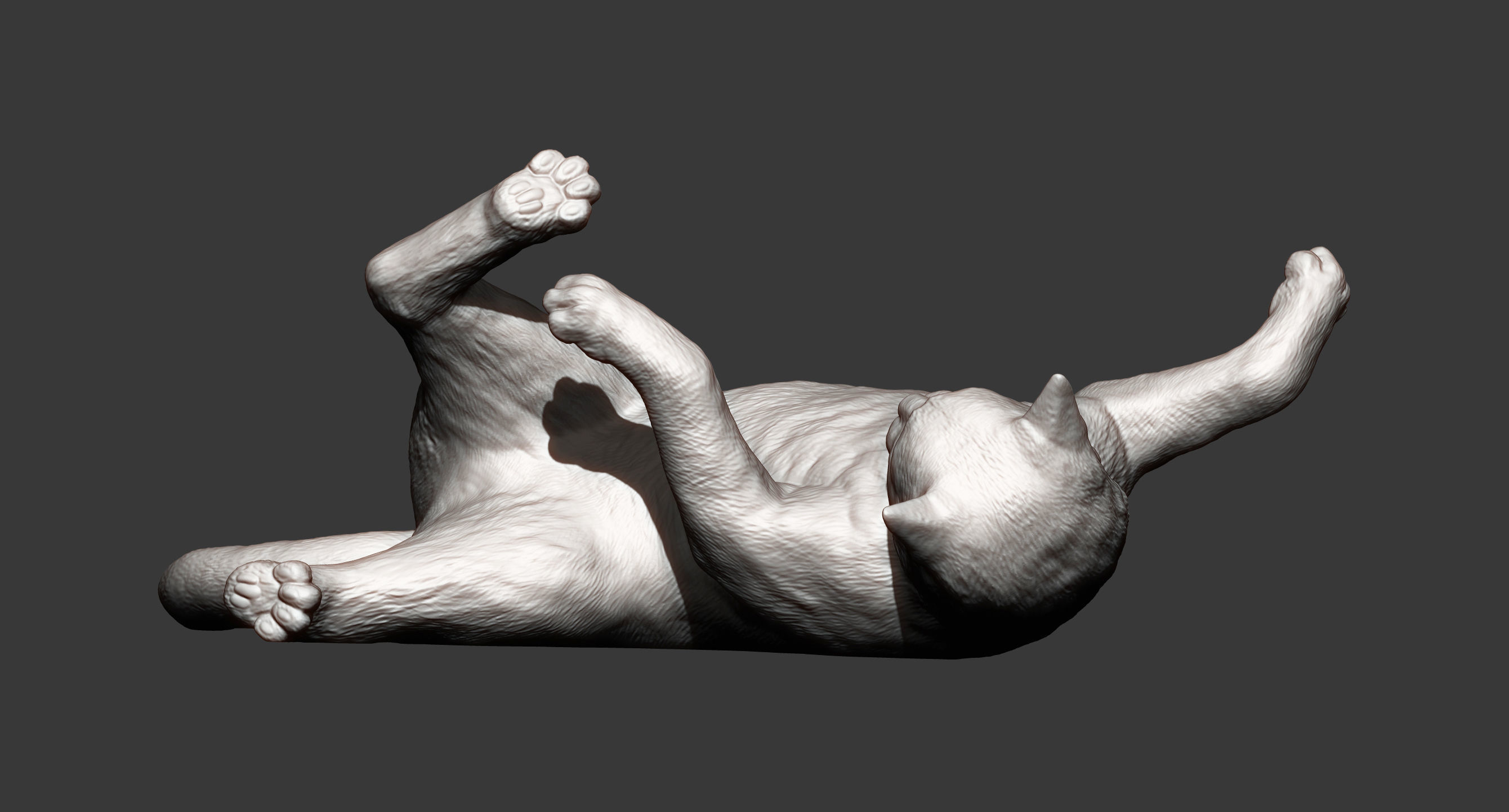 Cat for 3D printing  3D print model_9