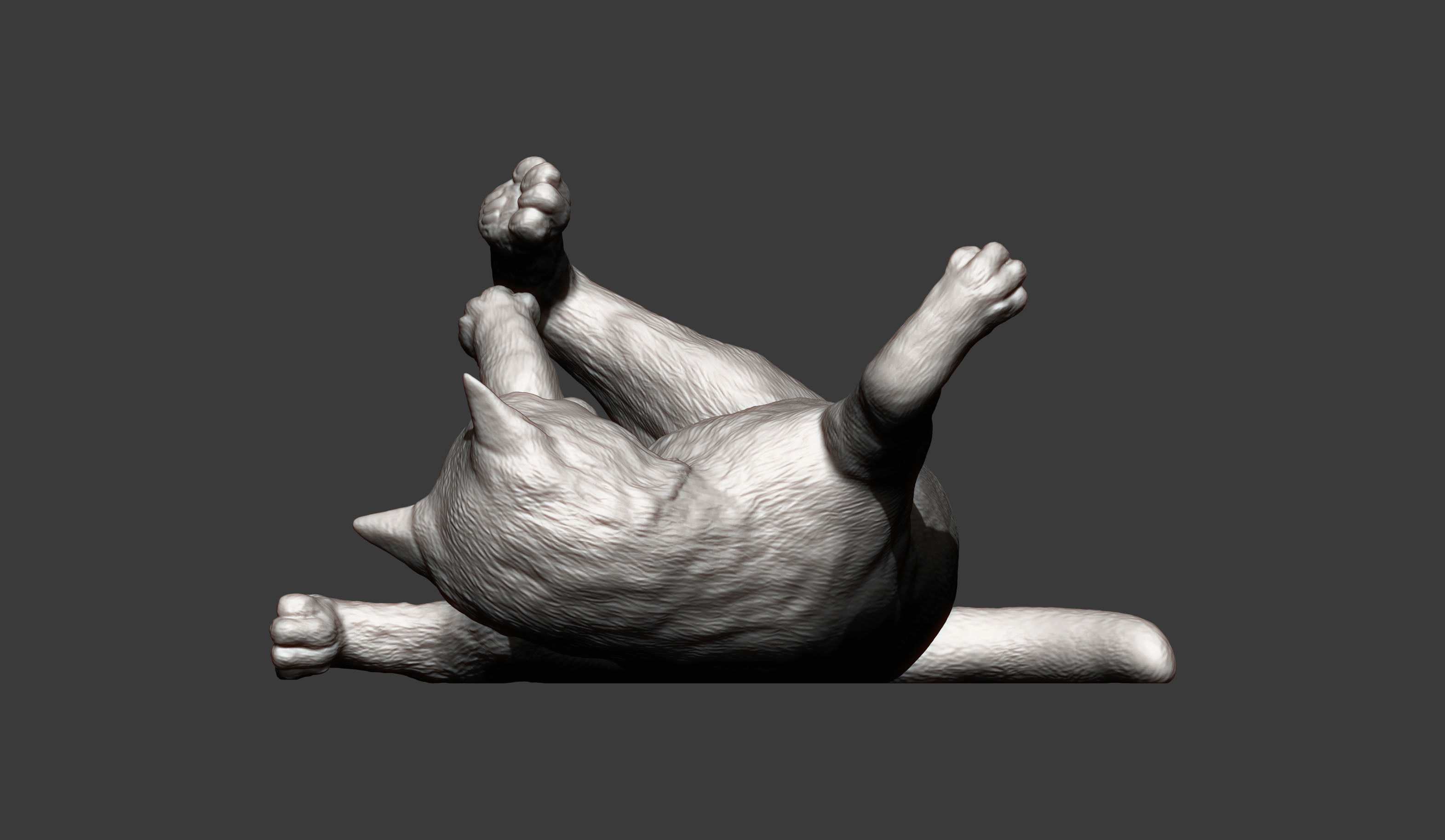 Cat for 3D printing  3D print model_6