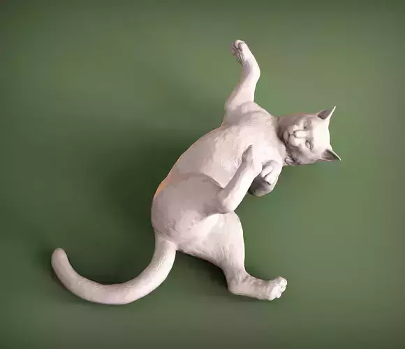 Cat for 3D printing  3D print model