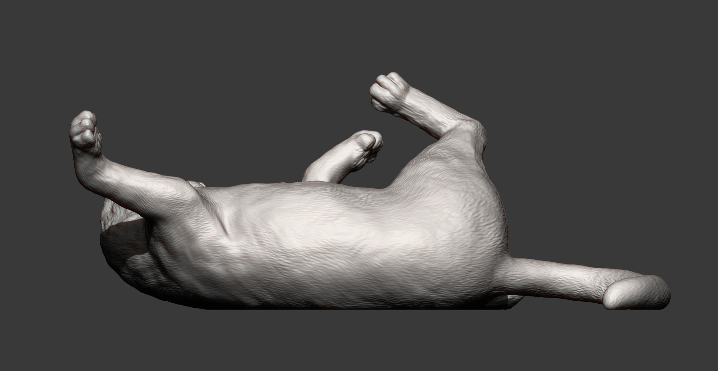 Cat for 3D printing  3D print model_8