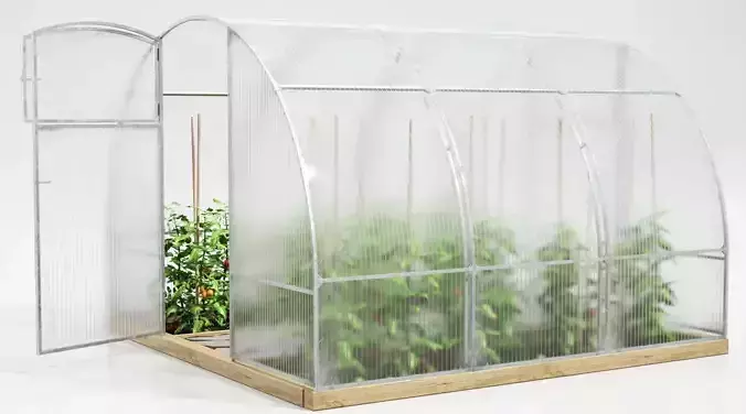 Greenhouse plant hanging