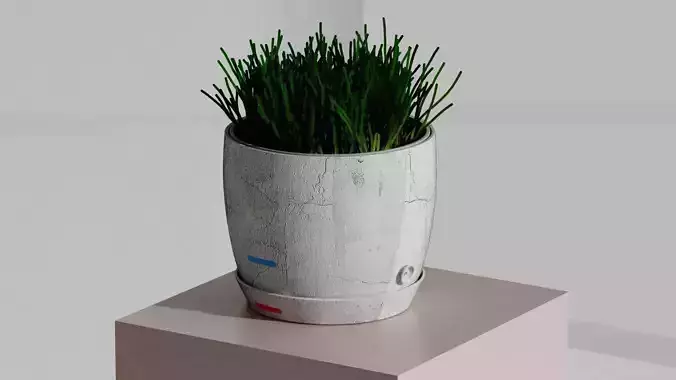 Flowerpot with valve