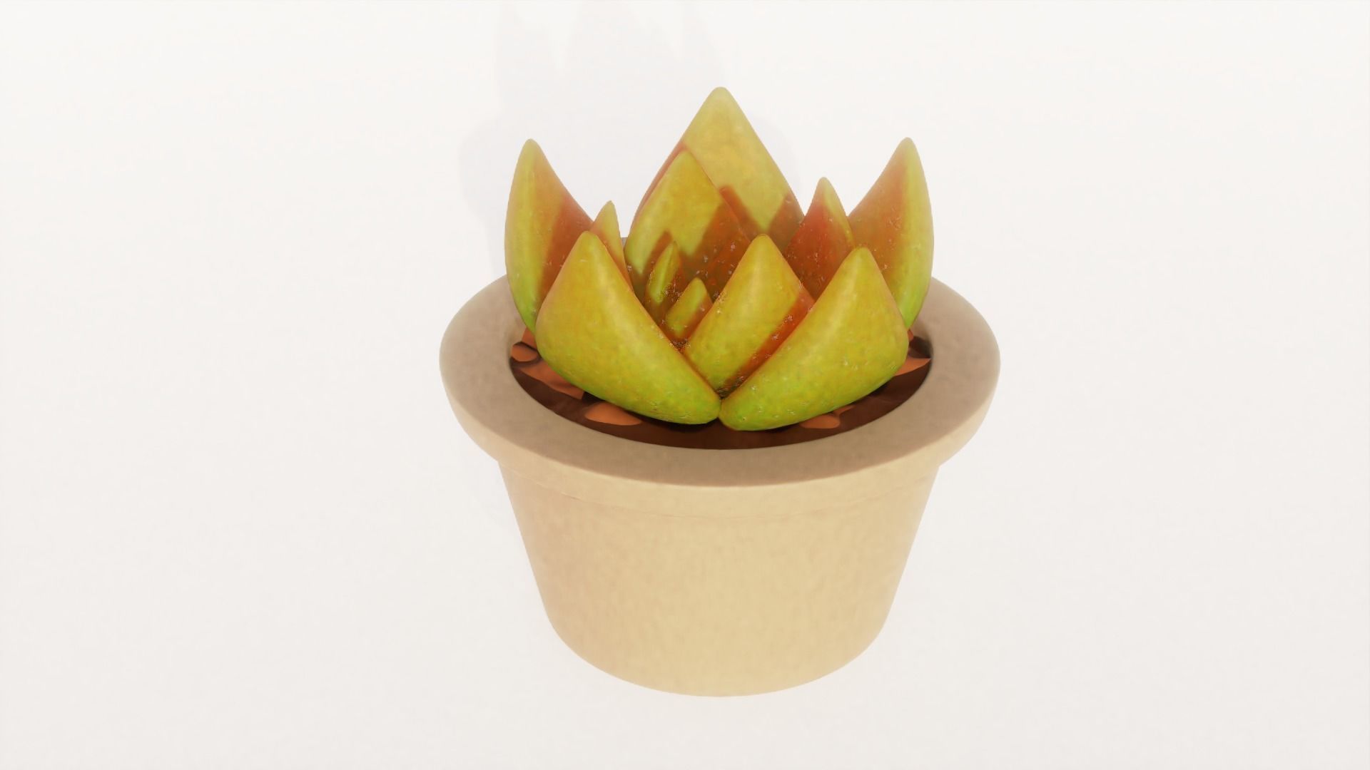 Succulent plant in pot 3D model_1