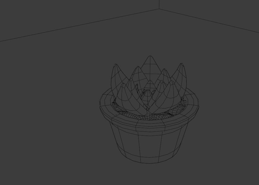 Succulent plant in pot 3D model_8
