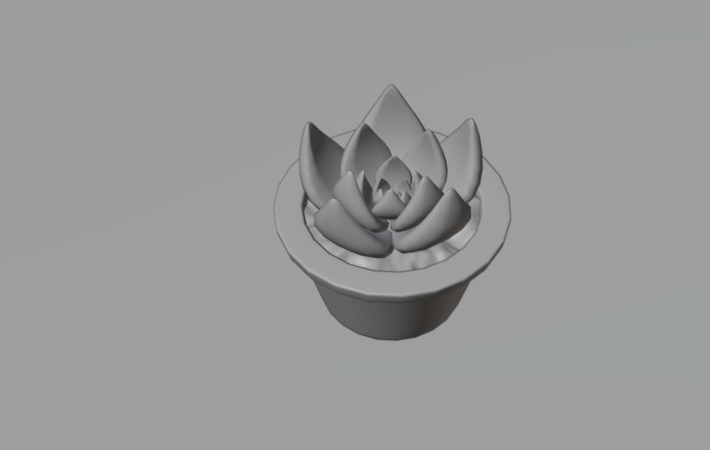 Succulent plant in pot 3D model_7